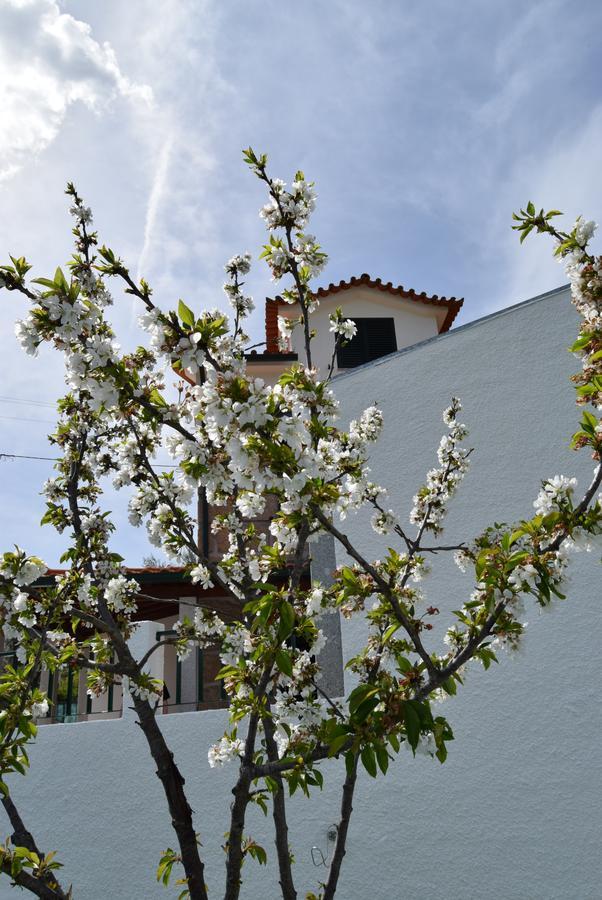 Casa Do Chao Do Ribeiro Villa Gouveia  Bagian luar foto